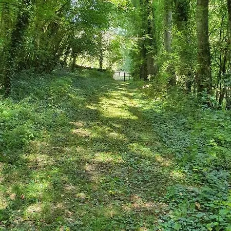 Reve De Campagne 1 * Xanton-Chassenon